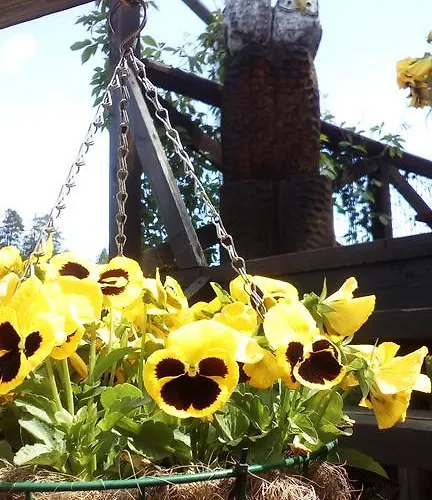 Holiday park Rnk Peebu Kaemping Kilingi-Nomme